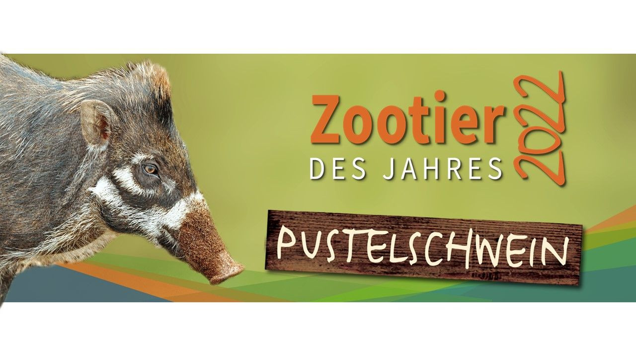 Zootier des Jahres 2022