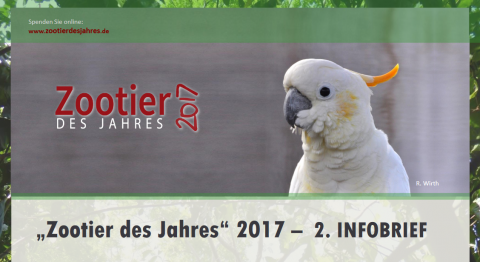 2-Infobrief---Zootier-des-Jahres-2017